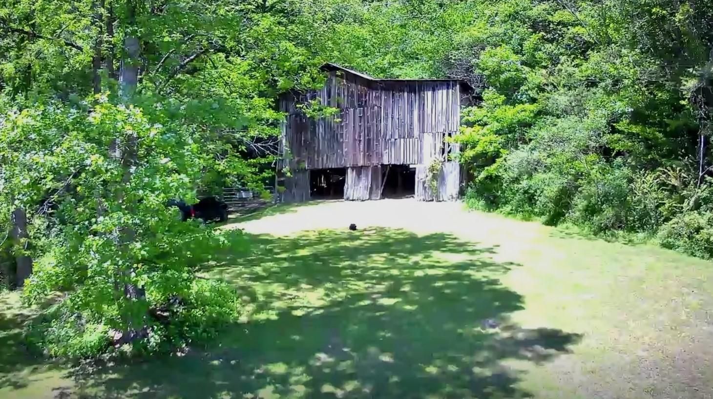 Old Asheville Hwy, Erwin, TN 37650 LandWatch