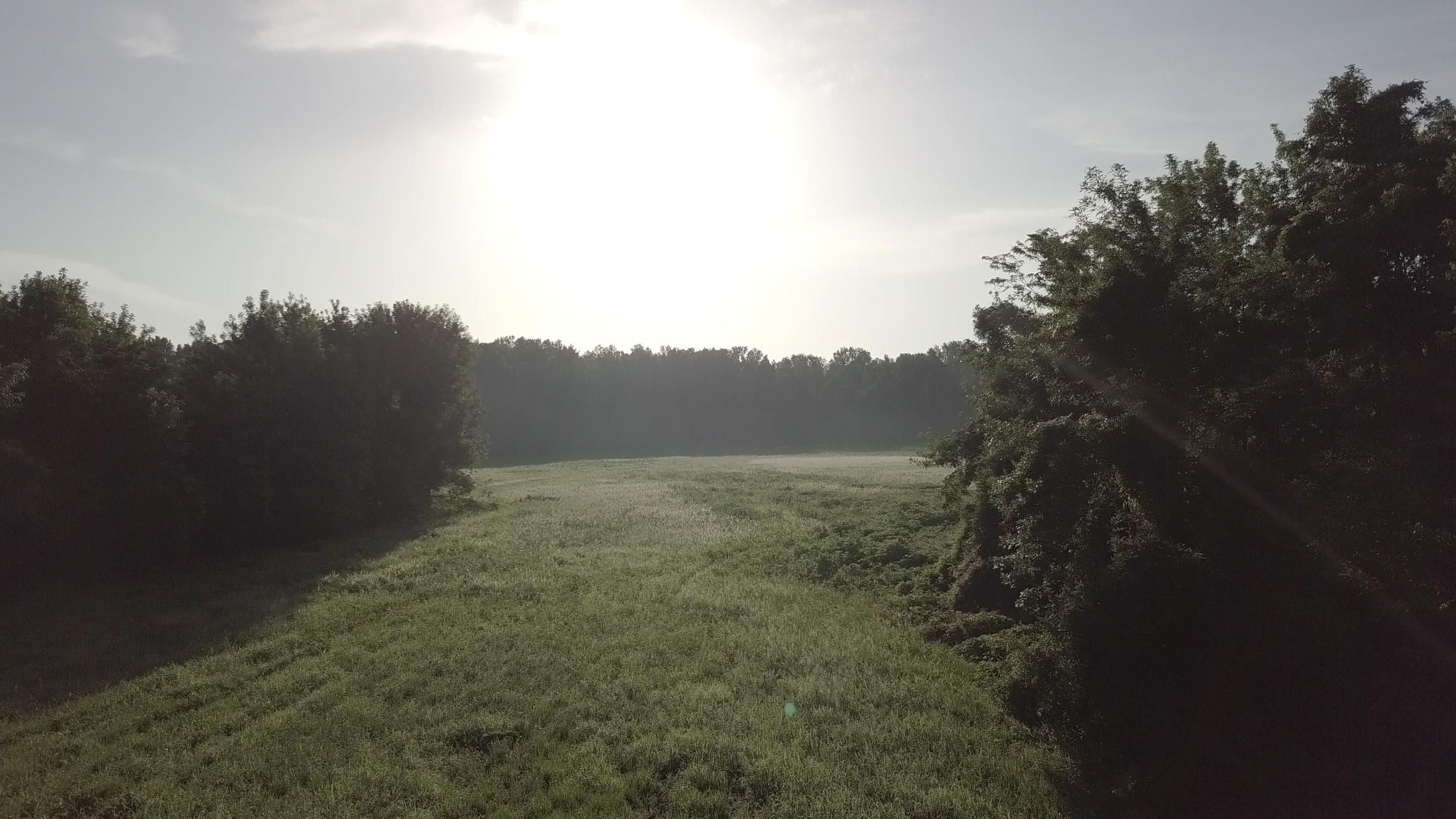 5,560 acres in Mayersville, MS, 39113 LandWatch