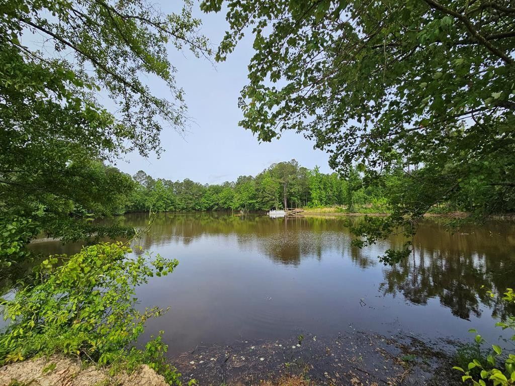 Saint Matthews, Calhoun County, SC Farms and Ranches for sale Property
