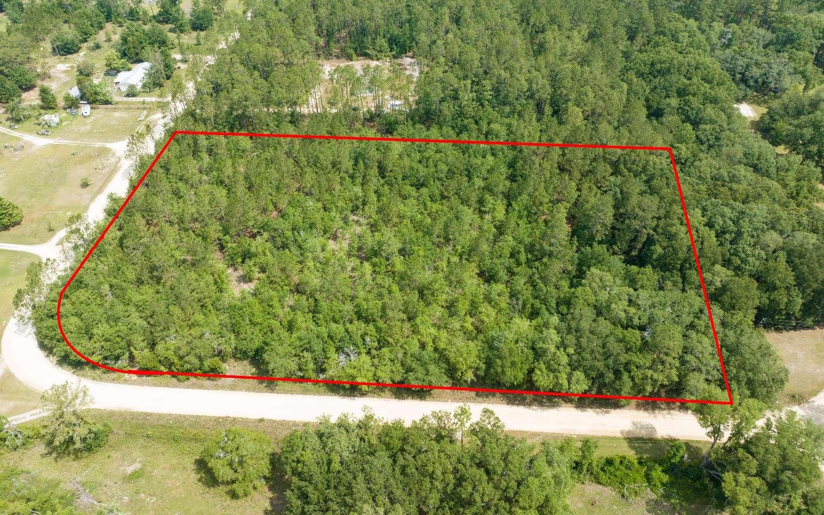 Live Oak, Suwannee County, FL Timberland Property, Undeveloped Land