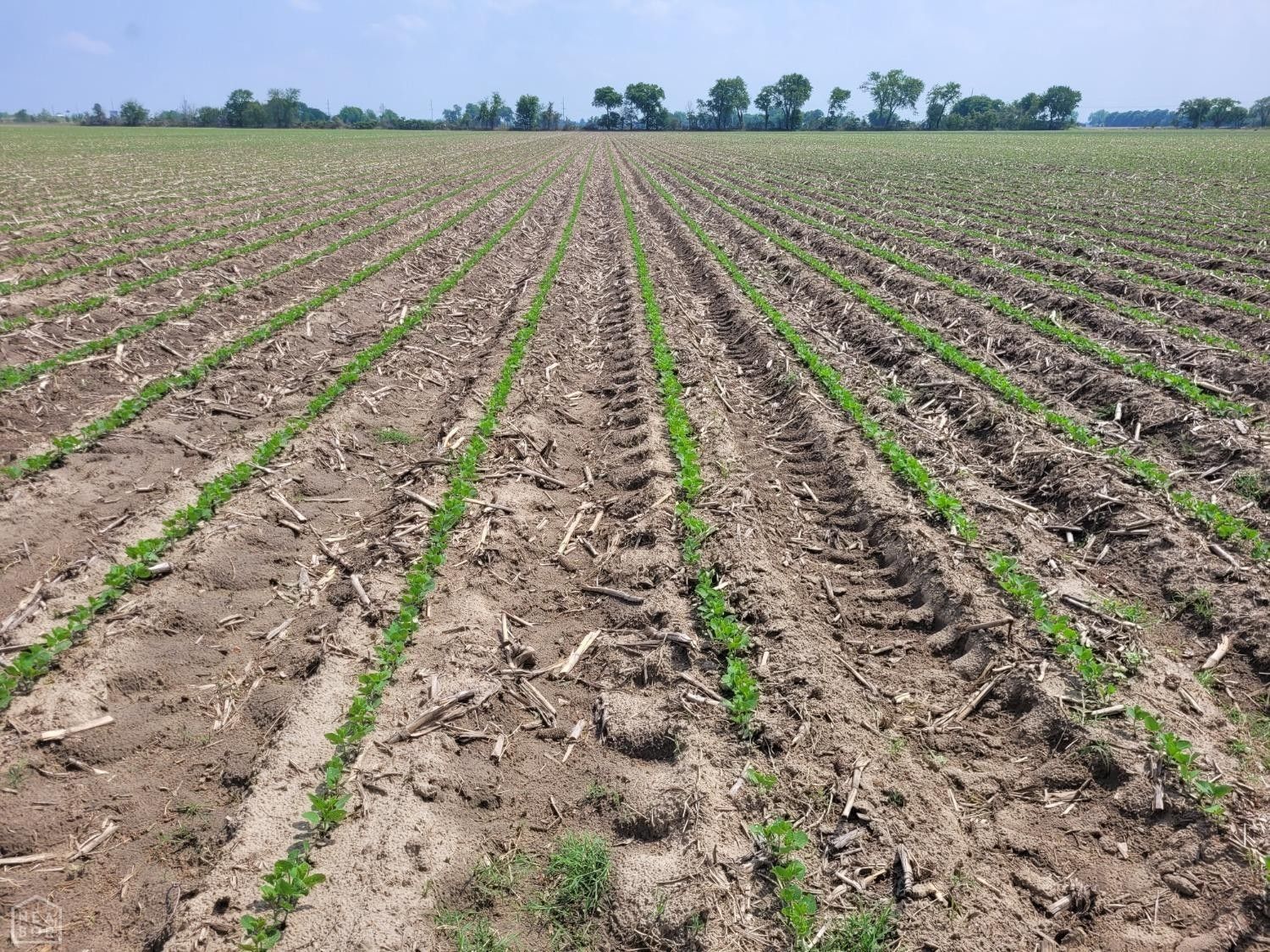 Trumann, Poinsett County, AR Farms and Ranches for sale Property ID