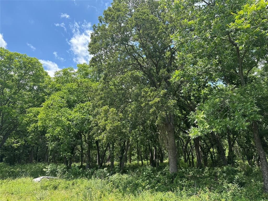 Rising Star, Eastland County, TX Undeveloped Land for sale Property ID