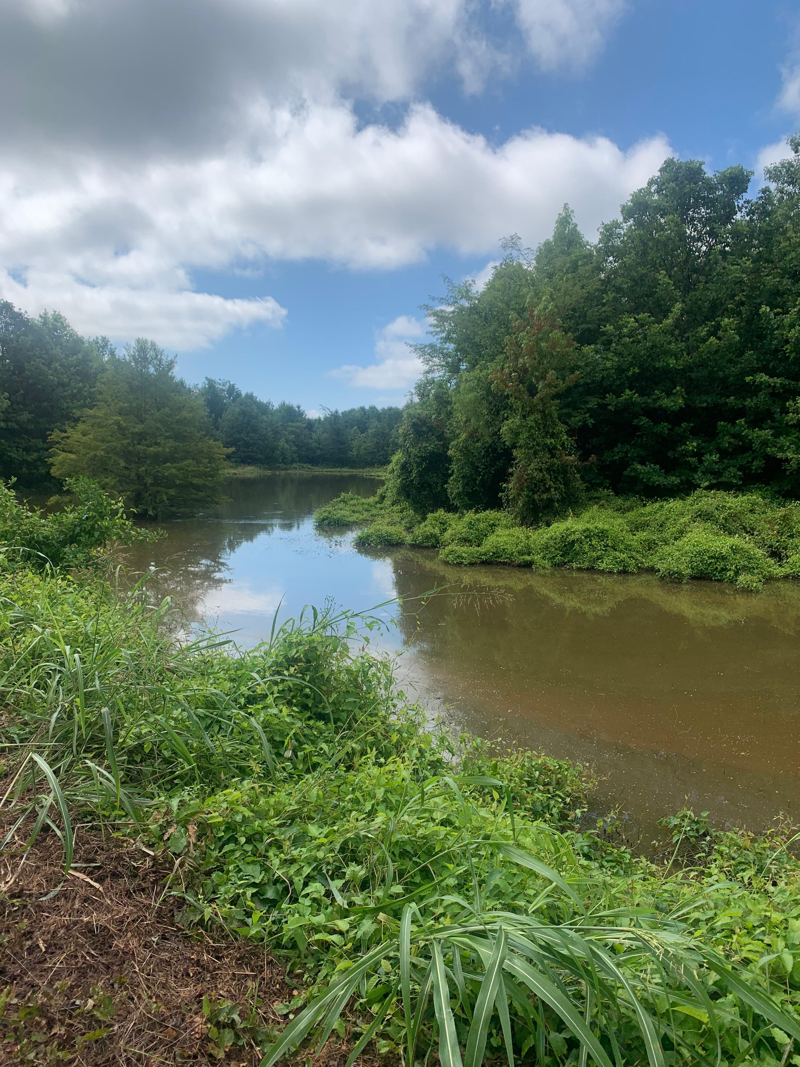 650 acres in Gilbert, LA, 71336 LandWatch