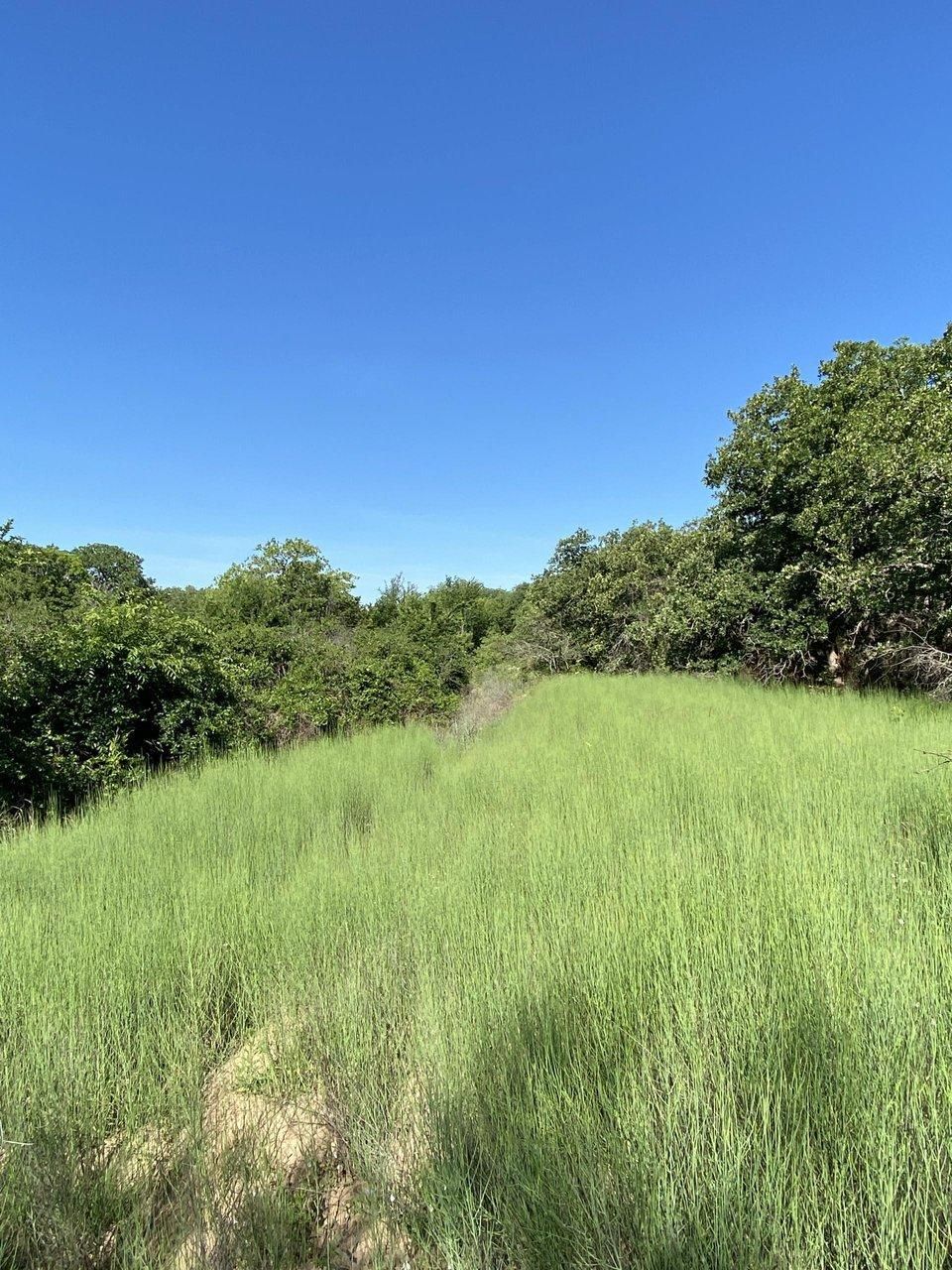 Rising Star, Eastland County, TX Recreational Property, Undeveloped