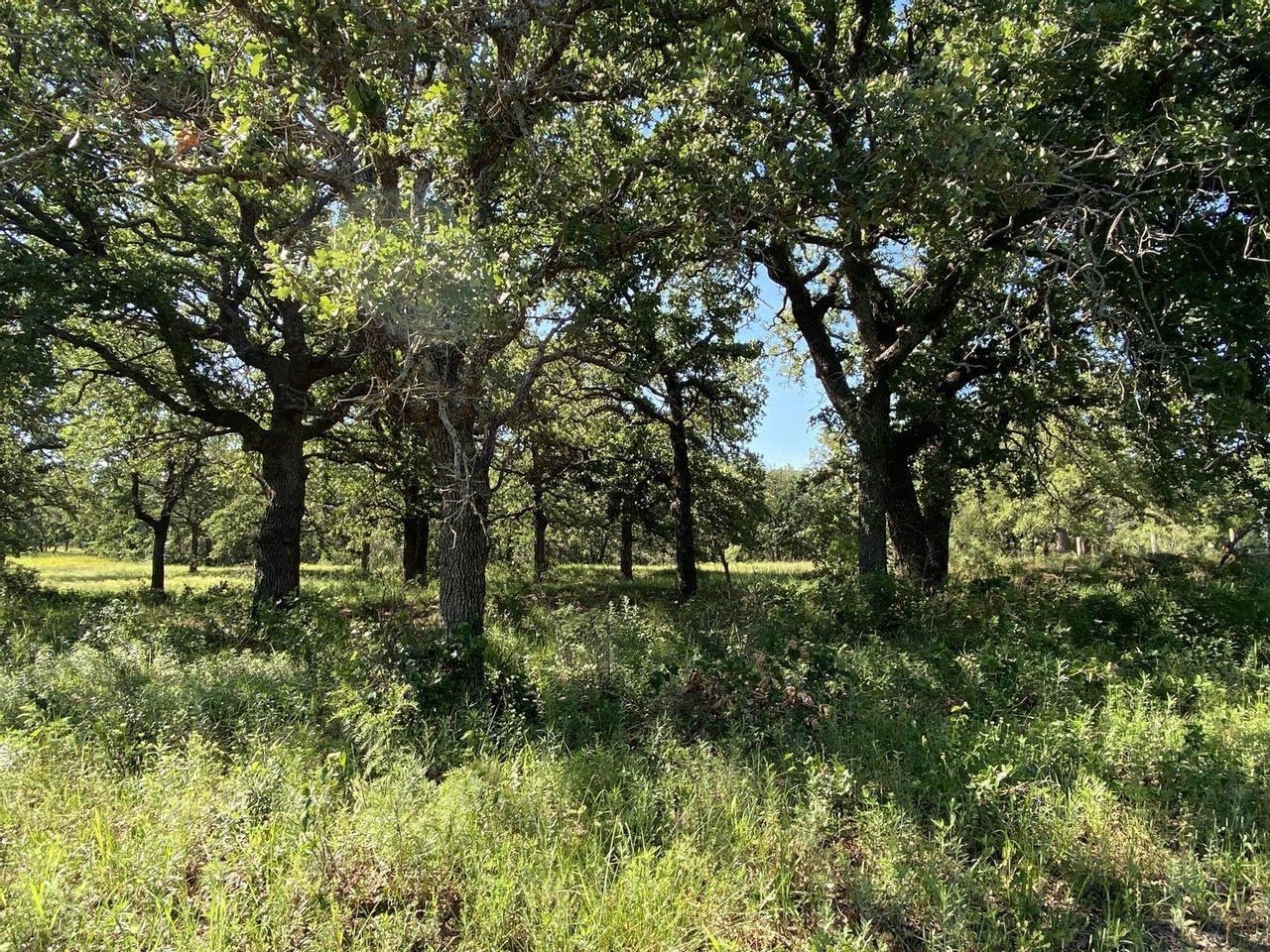 Rising Star, Eastland County, TX Recreational Property, Undeveloped