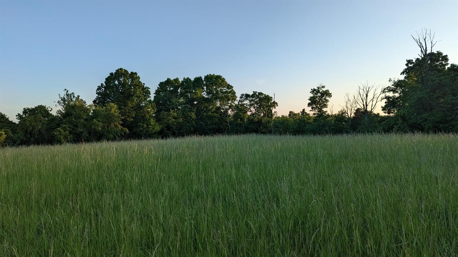 Rising Sun, Switzerland County, IN Farms and Ranches for sale Property