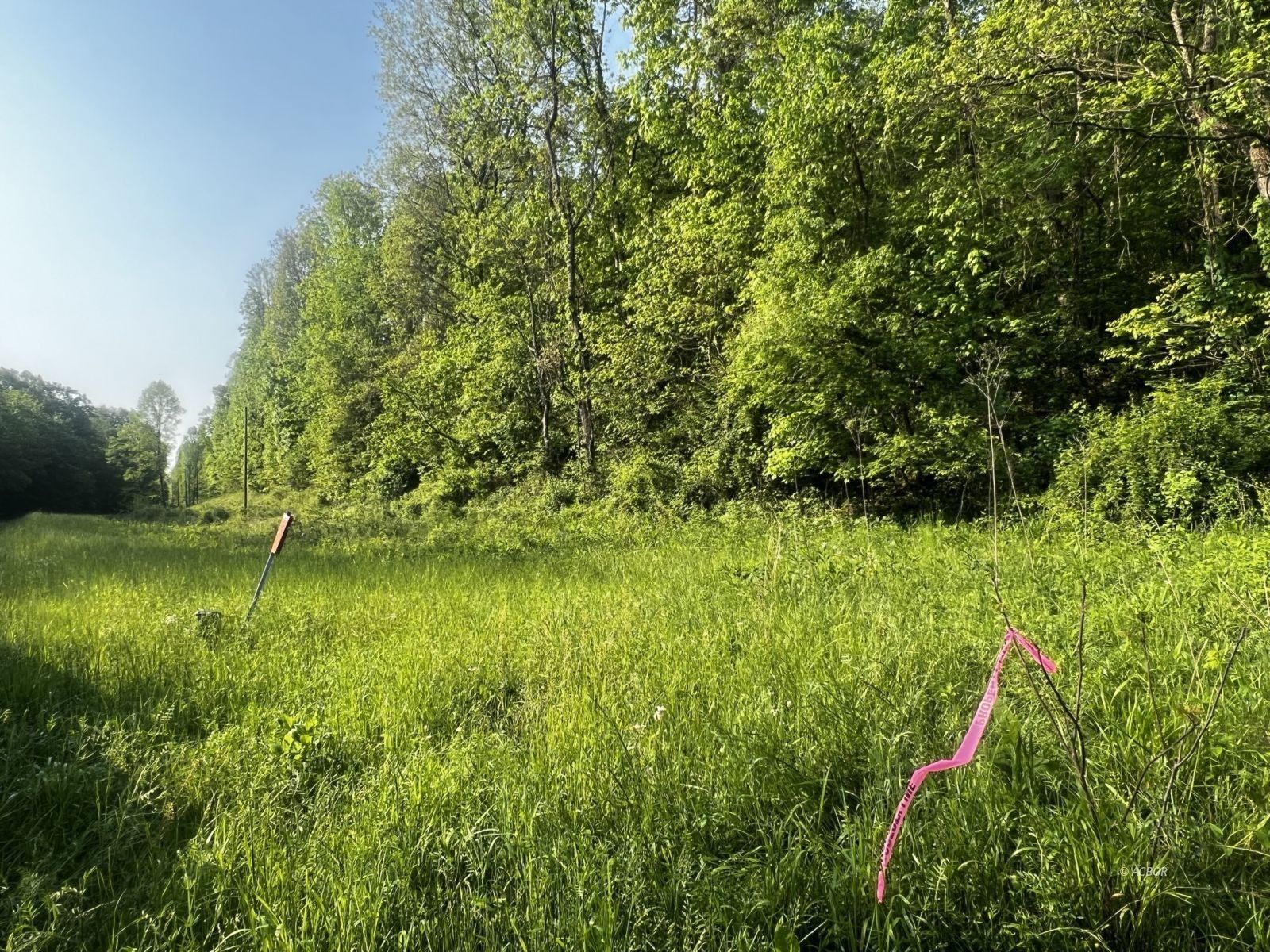 Langsville, Meigs County, OH Undeveloped Land for sale Property ID