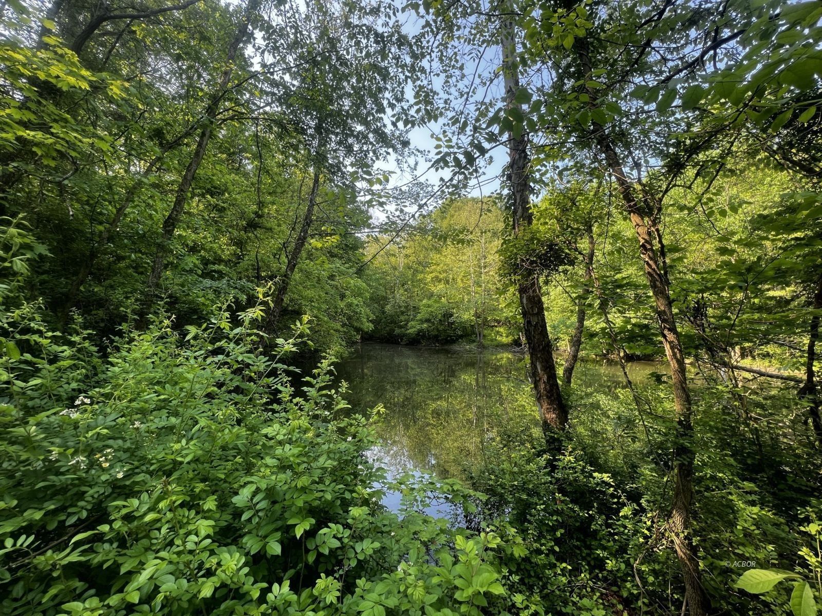 Langsville, Meigs County, OH Undeveloped Land for sale Property ID