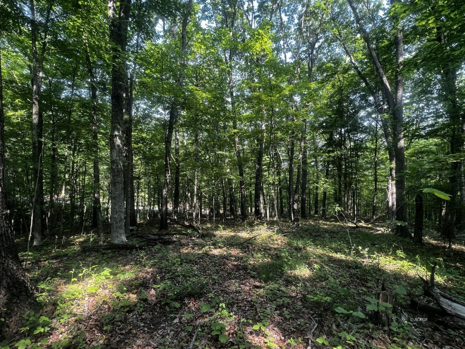 Langsville, Meigs County, OH Undeveloped Land for sale Property ID