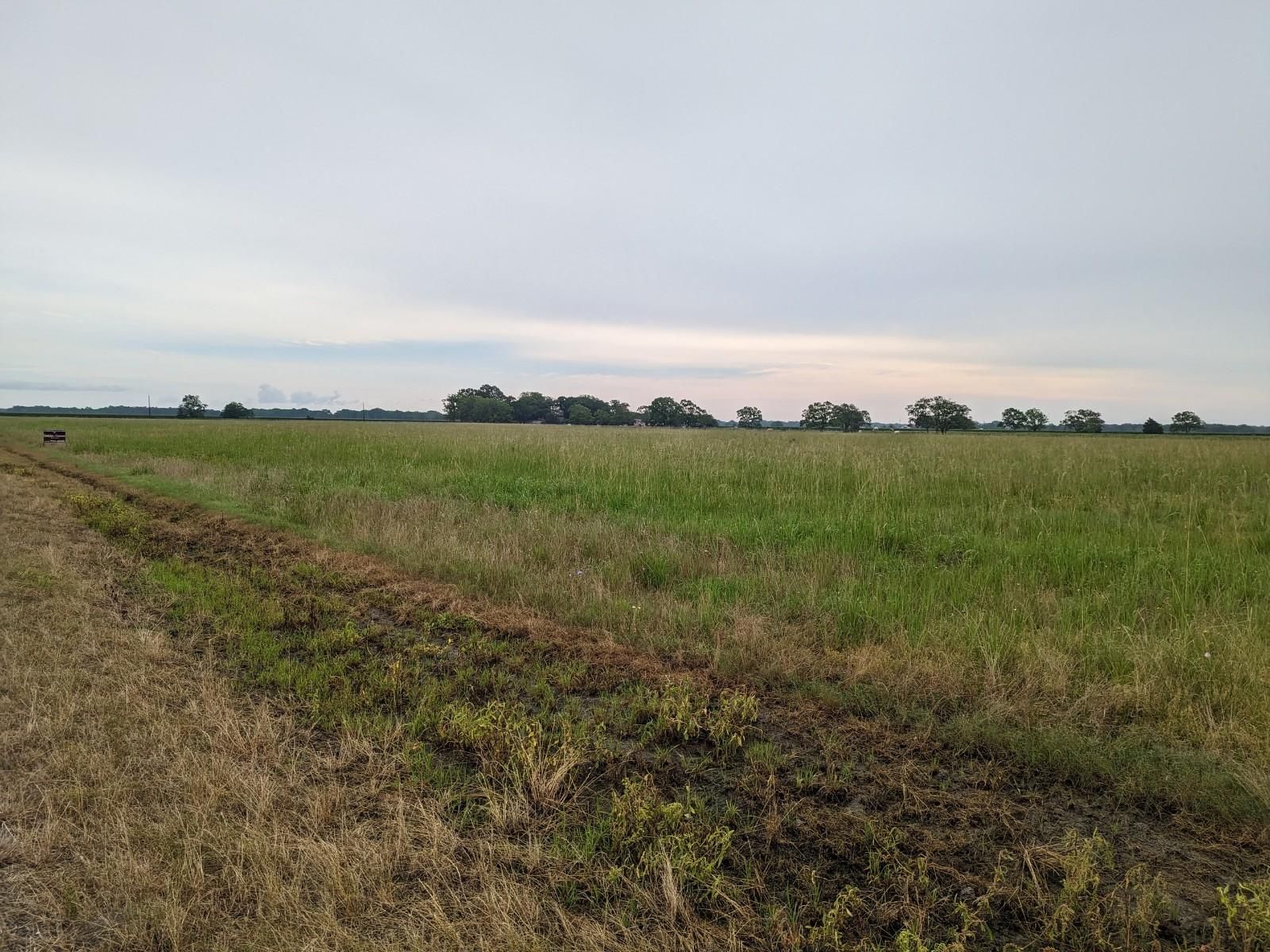 Schultz Rd, Damon, TX 77430 MLS 39812313 LandWatch