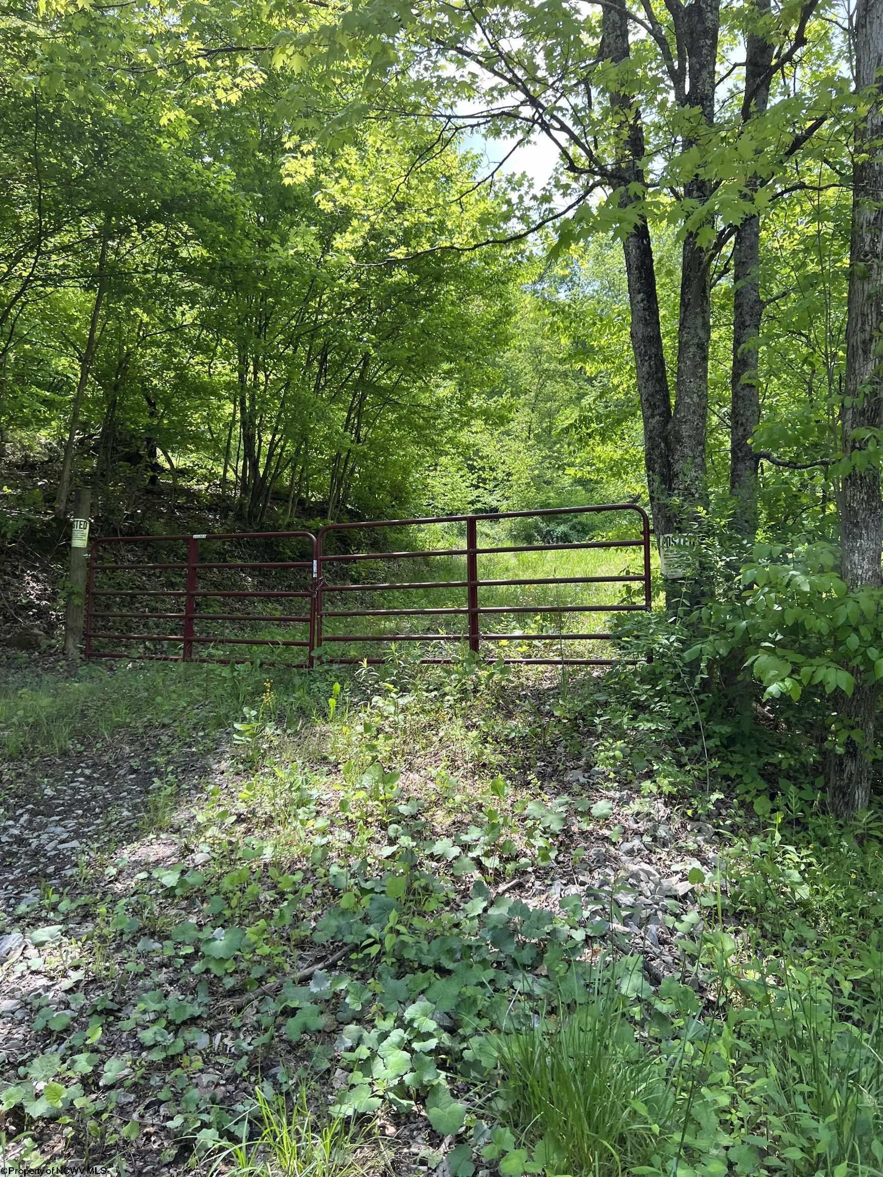 Volga, Barbour County, WV Farms and Ranches for sale Property ID