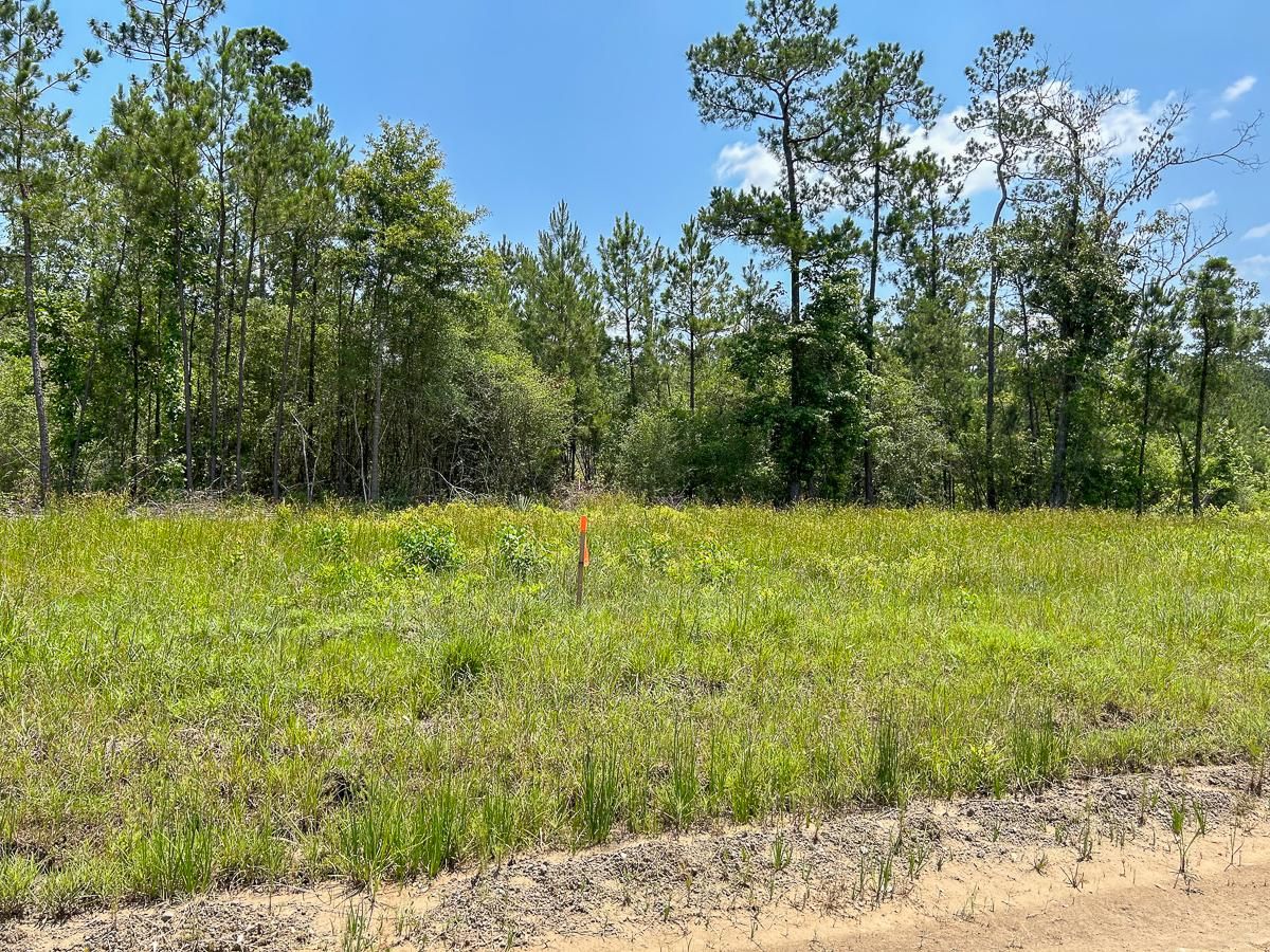 Lufkin, Angelina County, TX Recreational Property, Timberland Property