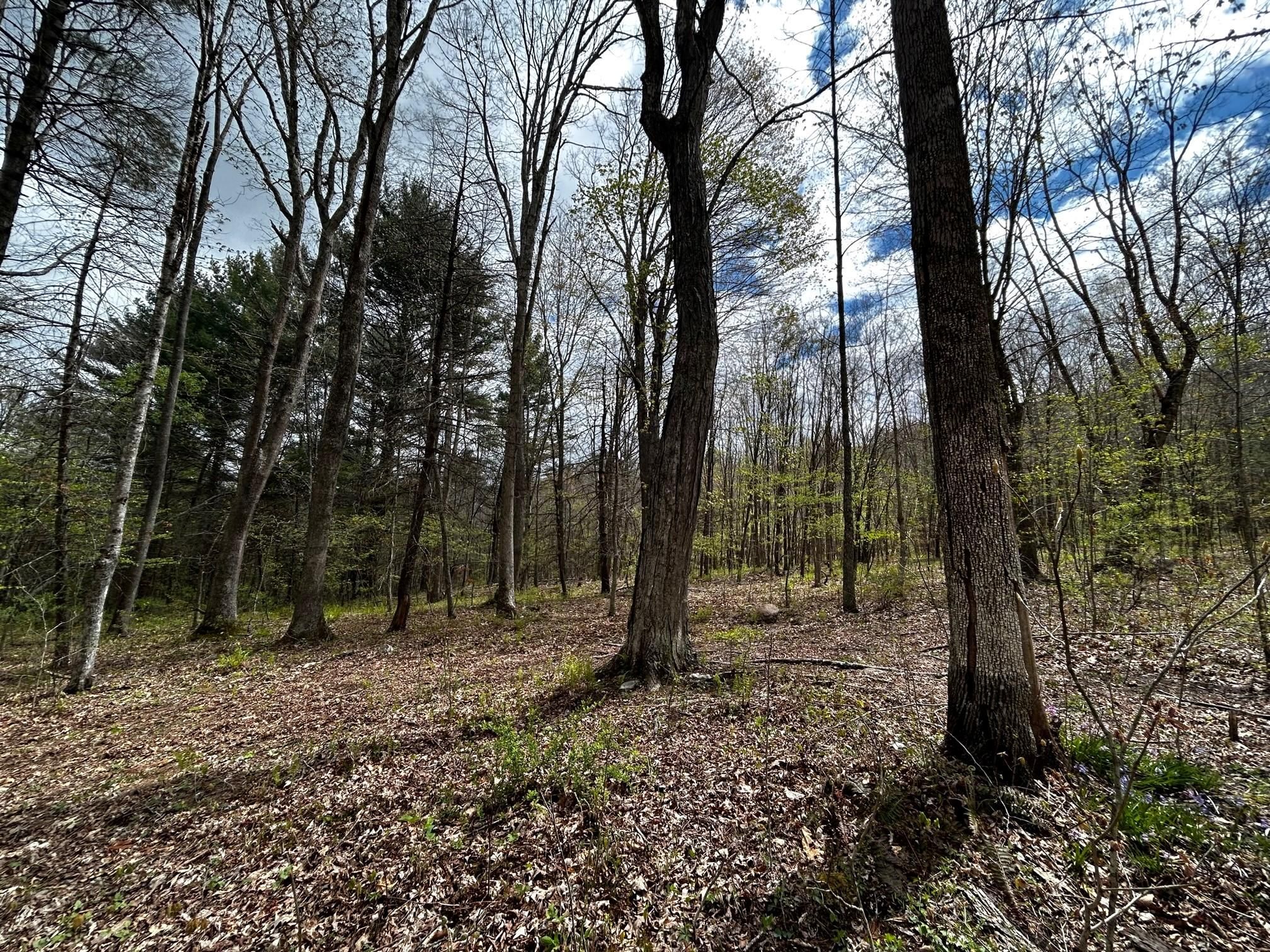 Wolf Hills Rd, Gap Mills, WV 24941 MLS 23474 LandWatch