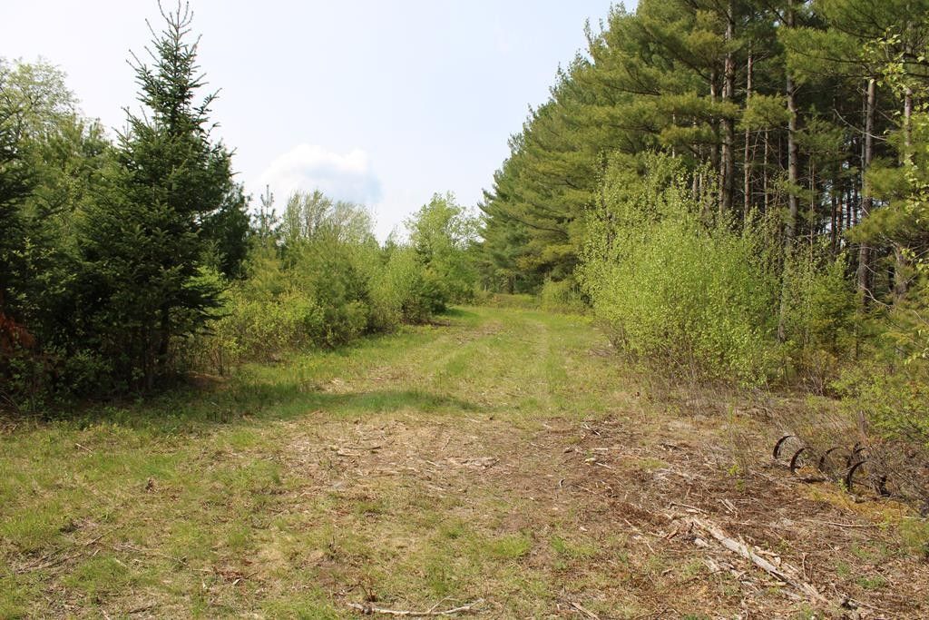 Schuyler Falls, Clinton County, NY Farms and Ranches for sale Property ID 416522846 LandWatch