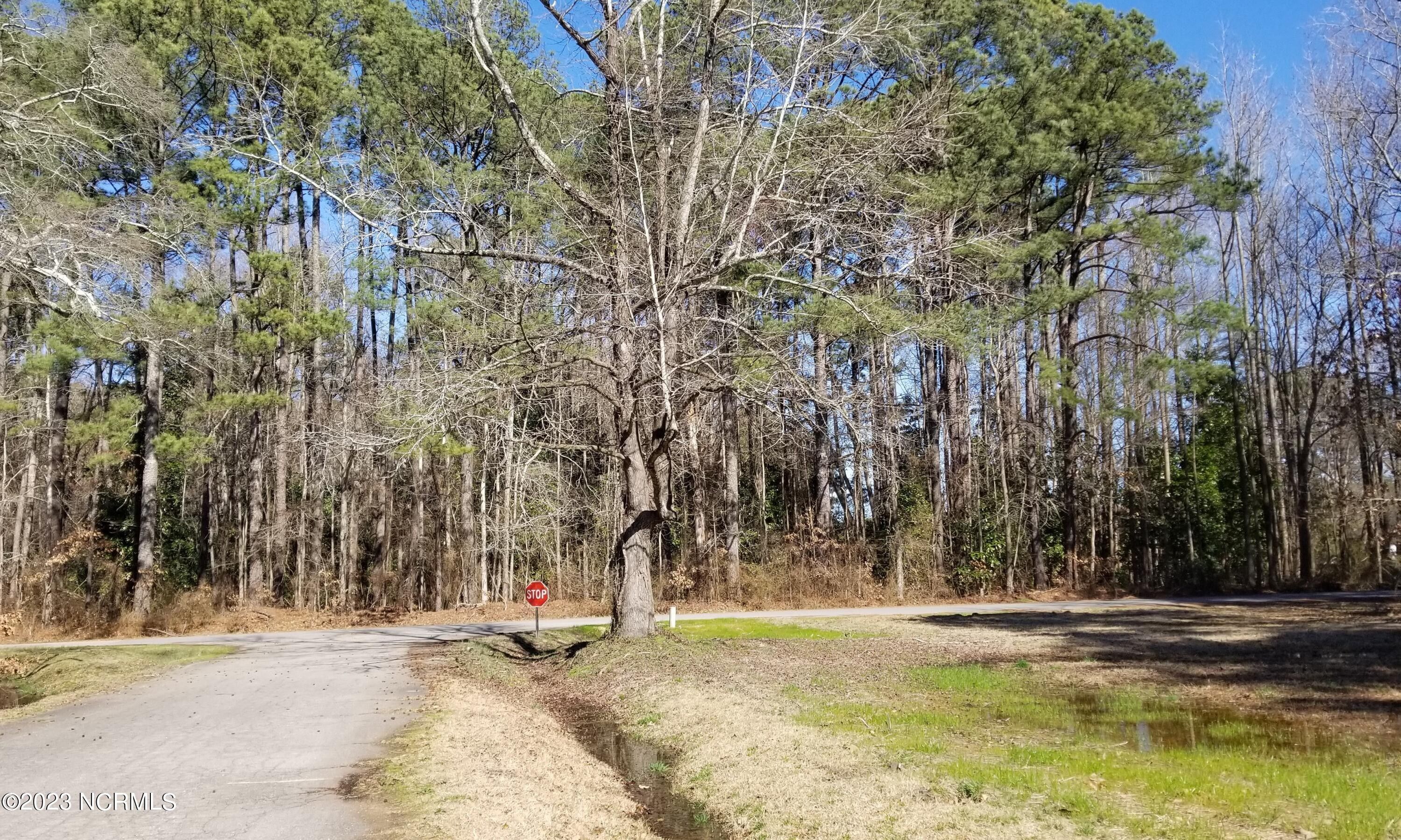 Lot 1 & 2 W Street, Whitakers, NC 27891 MLS 100384950