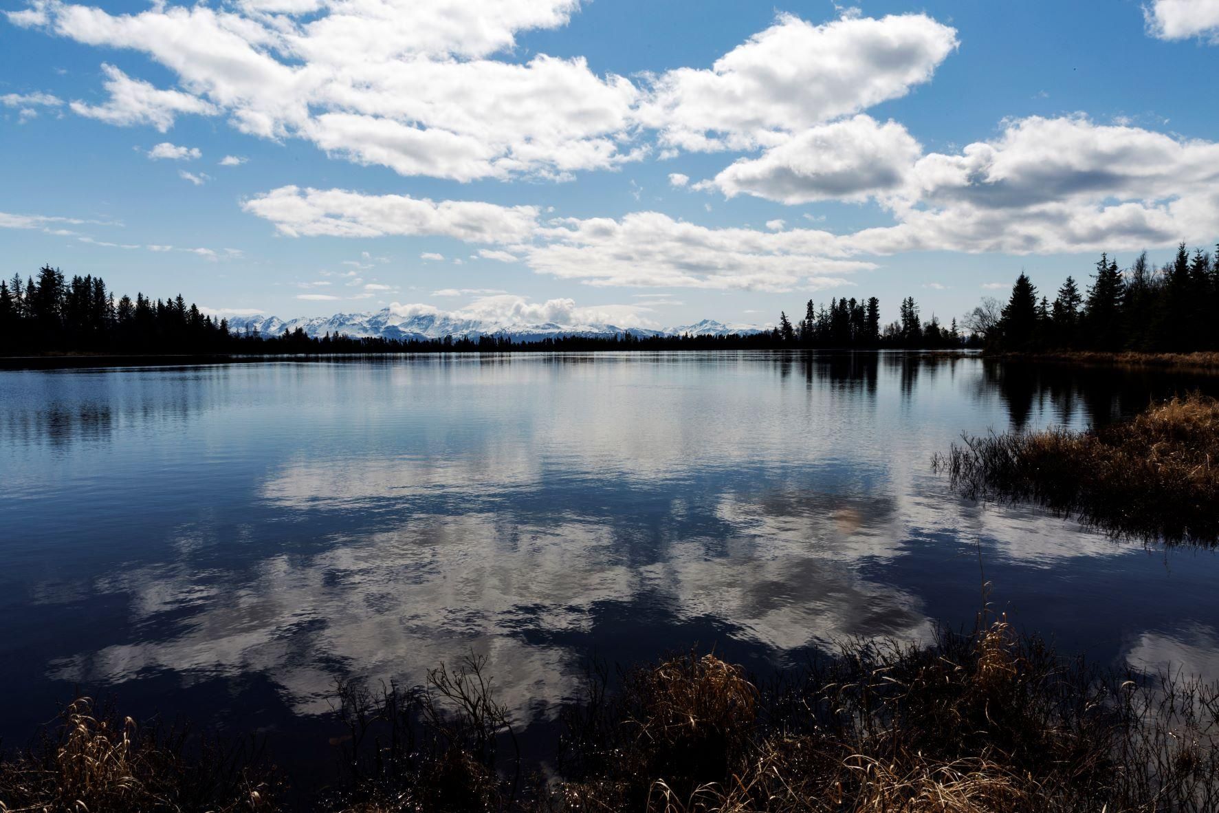 39807 Lenox St, Homer, AK 99603 MLS 235257 LandWatch