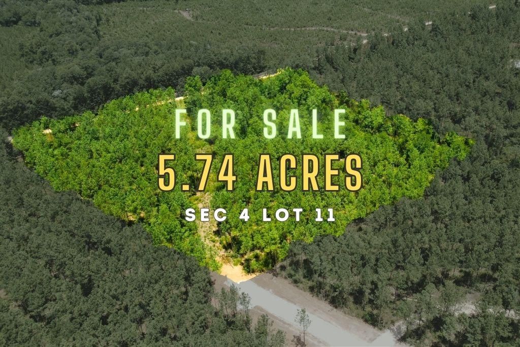 Indian Springs, Polk County, TX Farms and Ranches, Recreational