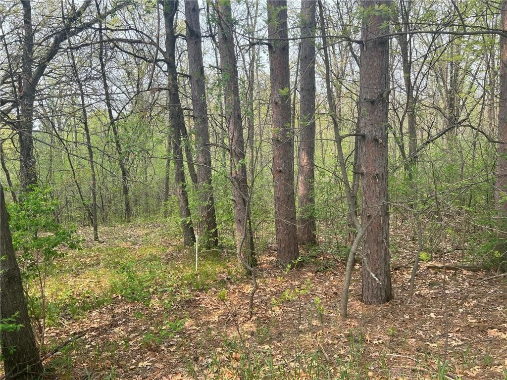 Brunswick, Kanabec County, MN Undeveloped Land, Lakefront Property