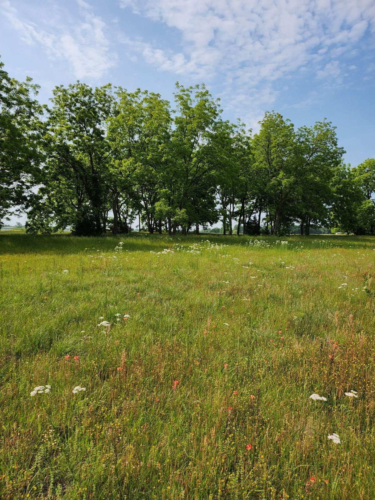 Wynnewood, Garvin County, OK Recreational Property, Undeveloped Land