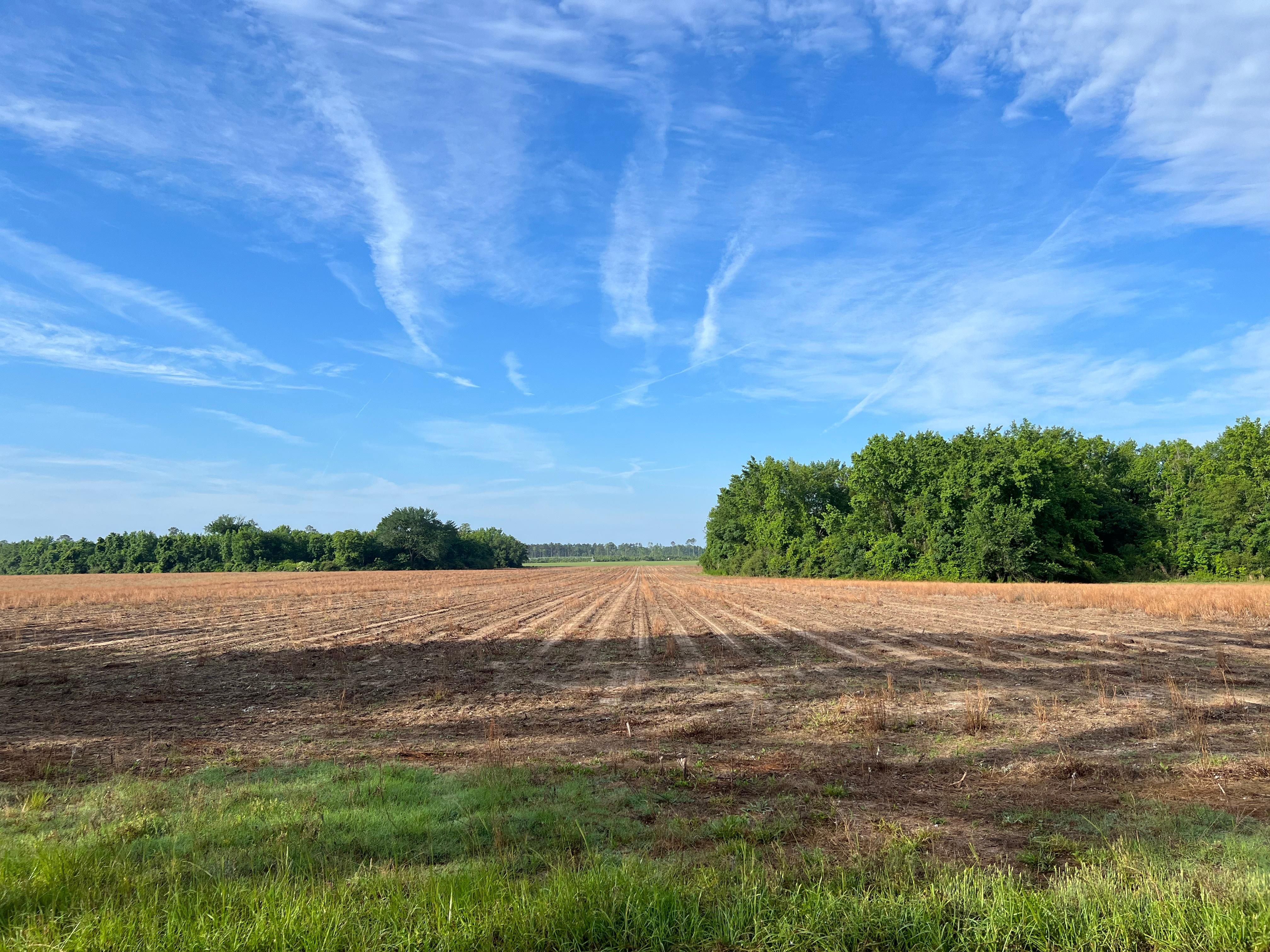 Lebanon Church Rd, Estill, SC 29918 LandWatch
