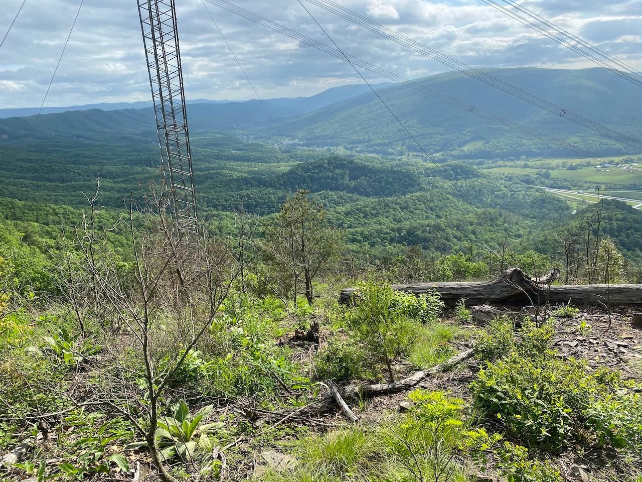 Bland, Bland County, VA Recreational Property for sale Property ID