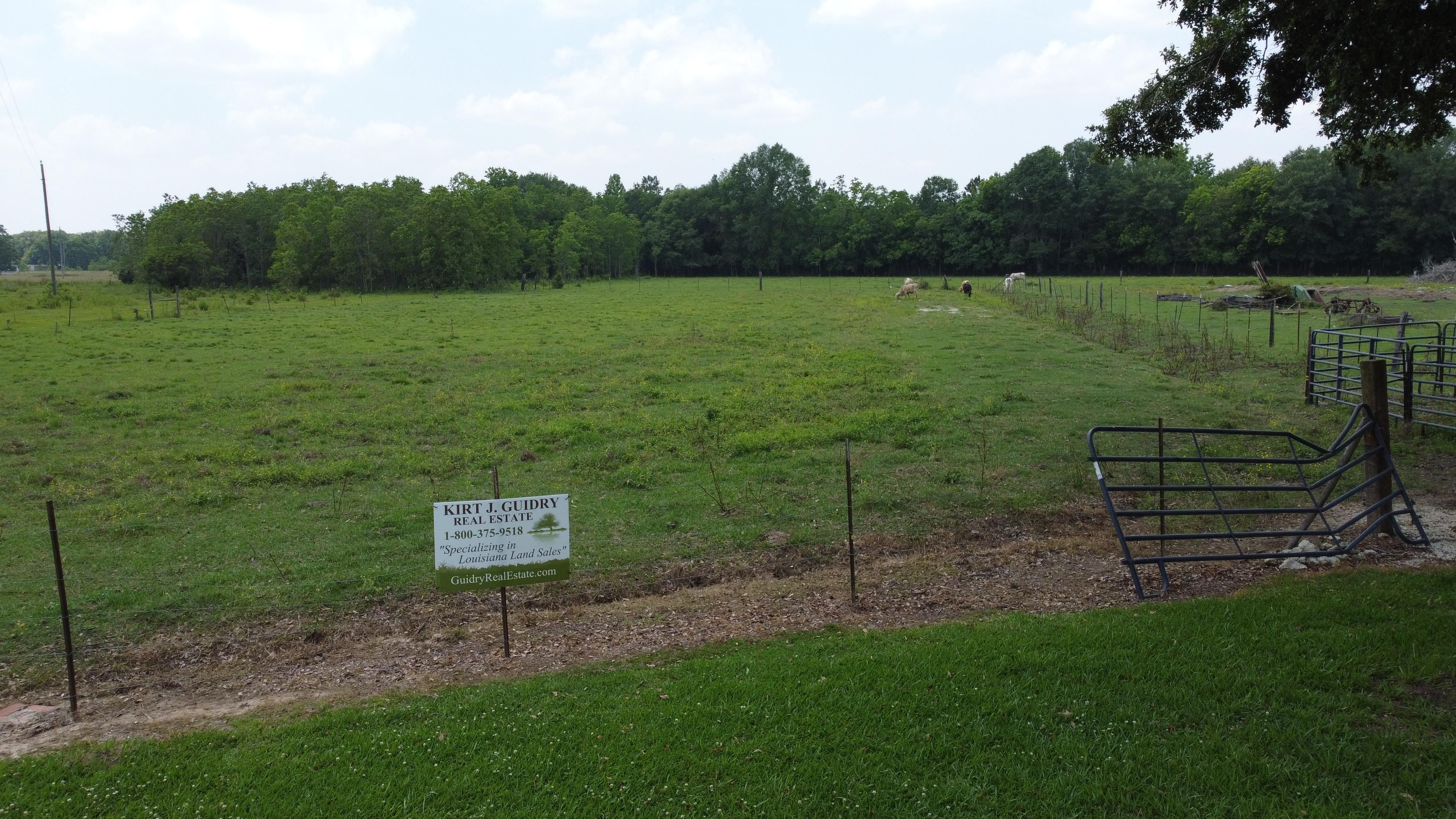 Opelousas, Saint Landry Parish, LA Undeveloped Land, Horse Property for