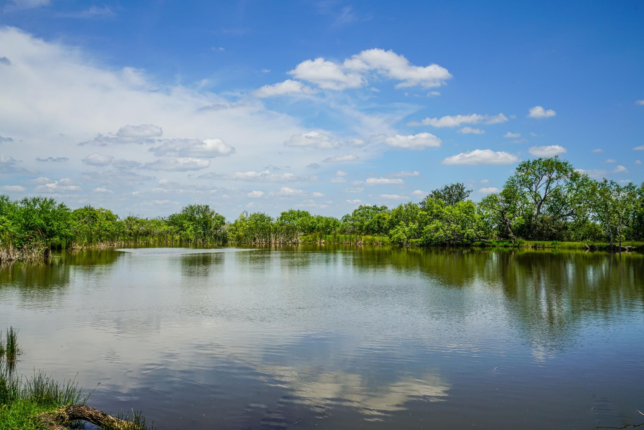 County Road 422, Pleasanton, TX 78064 LandWatch