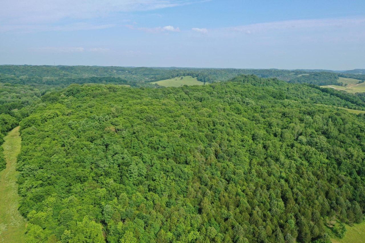 Culleoka, Maury County, TN Hunting Property, House for sale Property ID