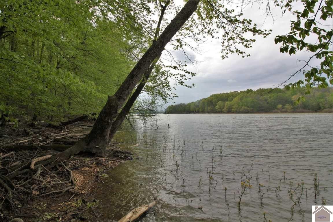 Cadiz, Trigg County, KY Undeveloped Land, Lakefront Property