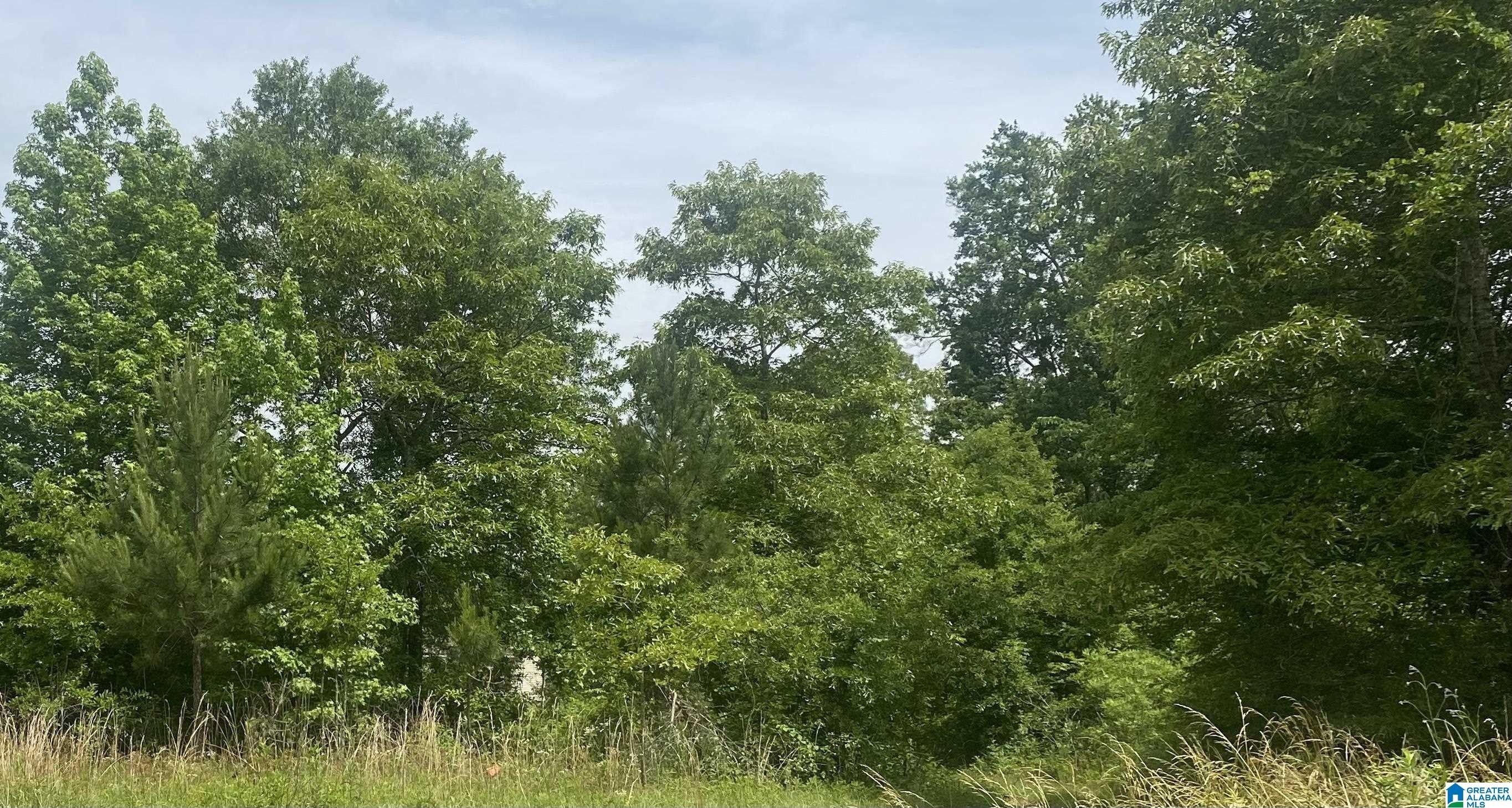 Eastaboga, Talladega County, AL Undeveloped Land for sale Property ID