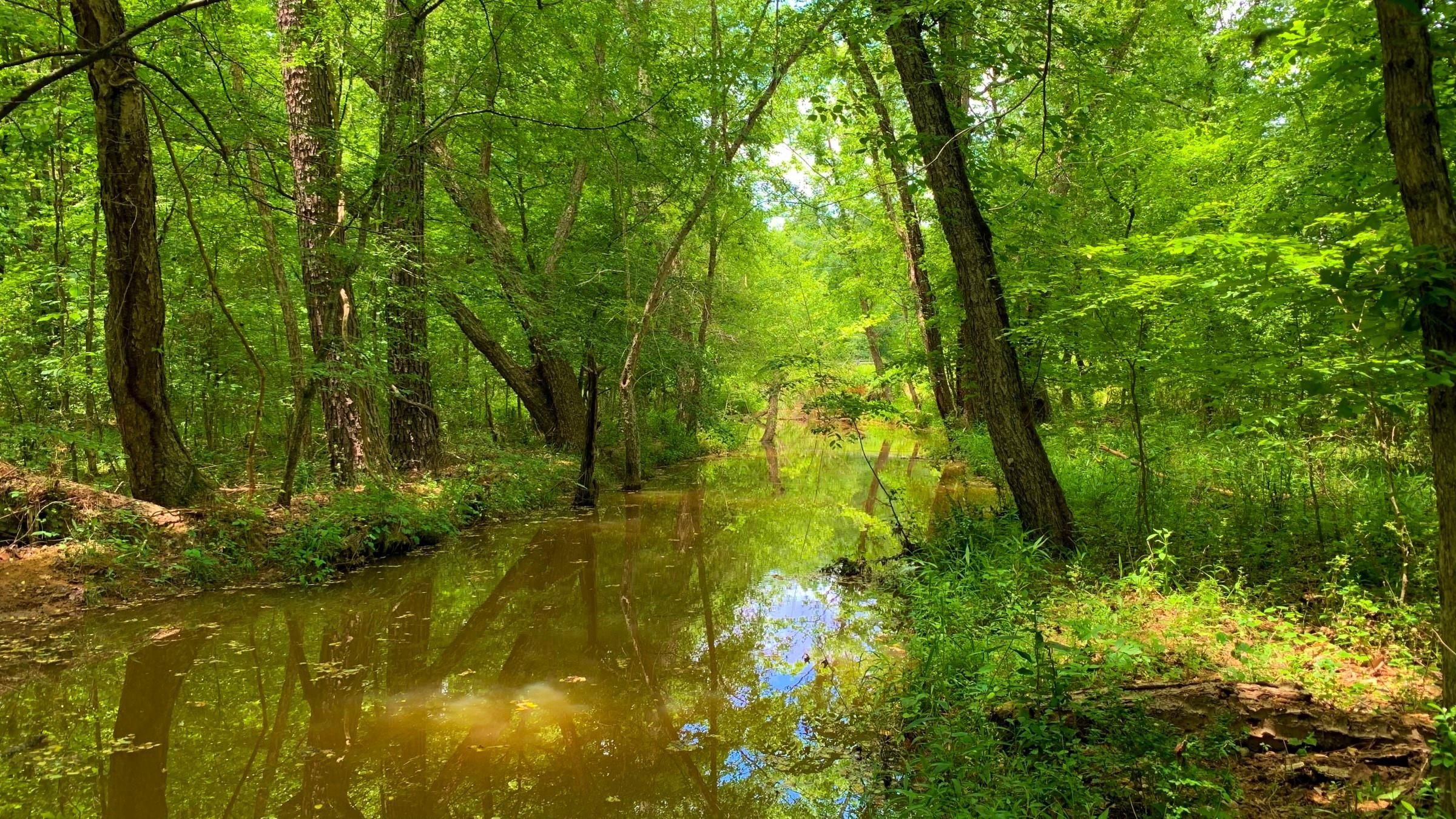 Sparta, Hancock County, GA Recreational Property, Timberland Property
