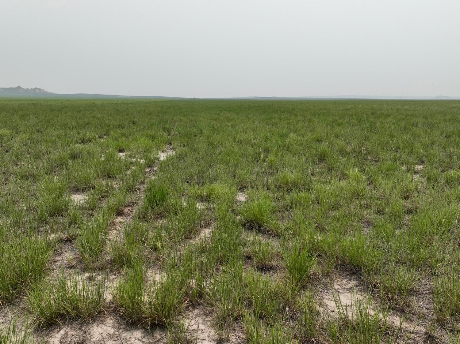 Lyman, Scotts Bluff County, NE Farms and Ranches, Recreational Property, Hunting Property for