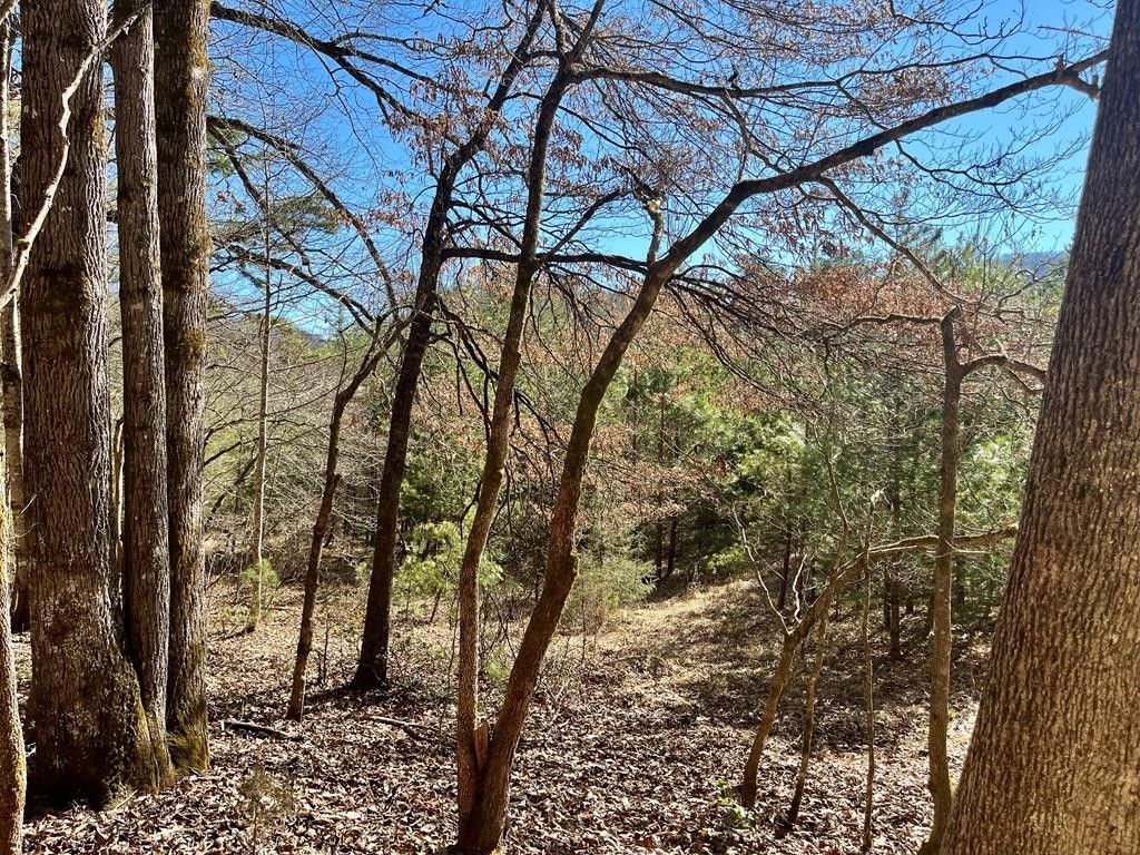 Franklin, Macon County, NC for sale Property ID 416531622 LandWatch