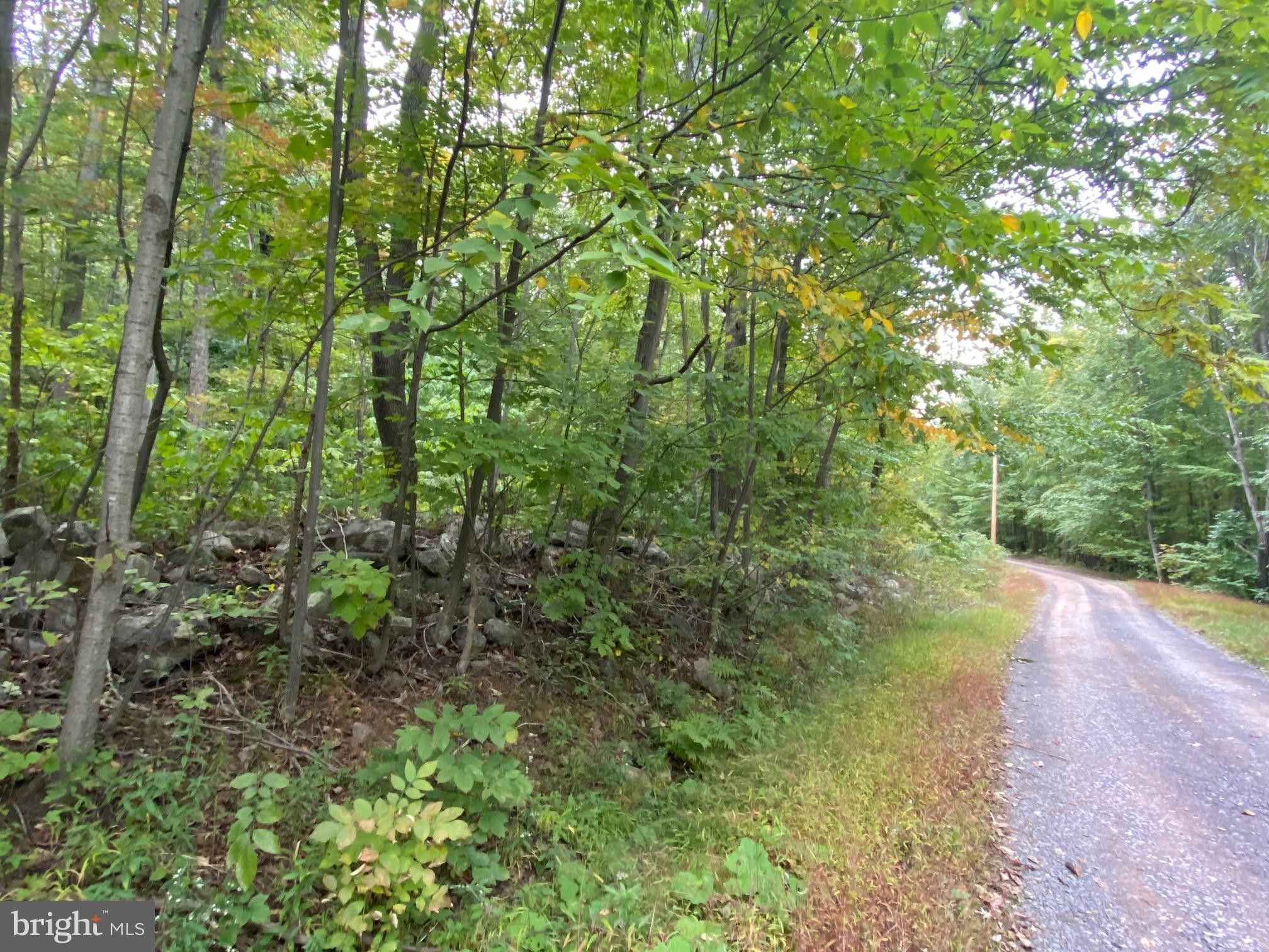 Paw Paw, Hampshire County, WV Undeveloped Land for sale Property ID