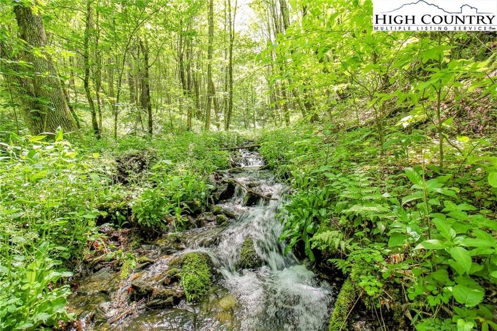 Zionville, Watauga County, NC Farms and Ranches, Homesites for sale