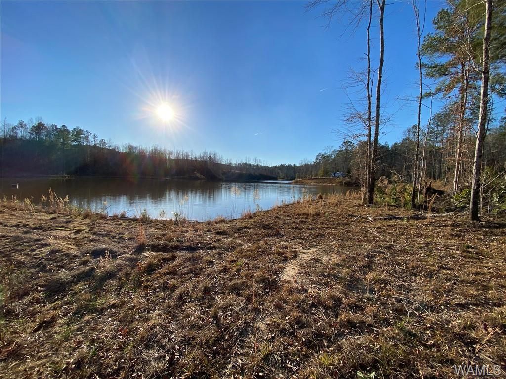 Northport, Tuscaloosa County, AL Farms and Ranches, Timberland Property