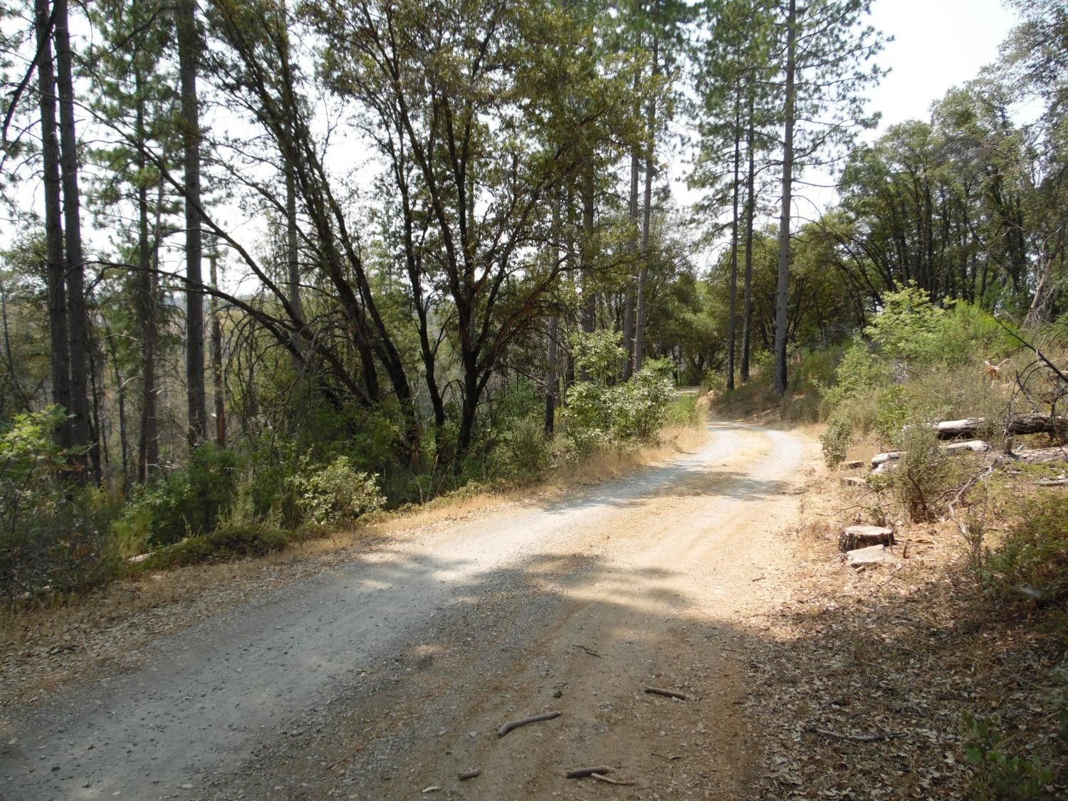 Rail Road Flat, Calaveras County, CA Undeveloped Land for sale Property
