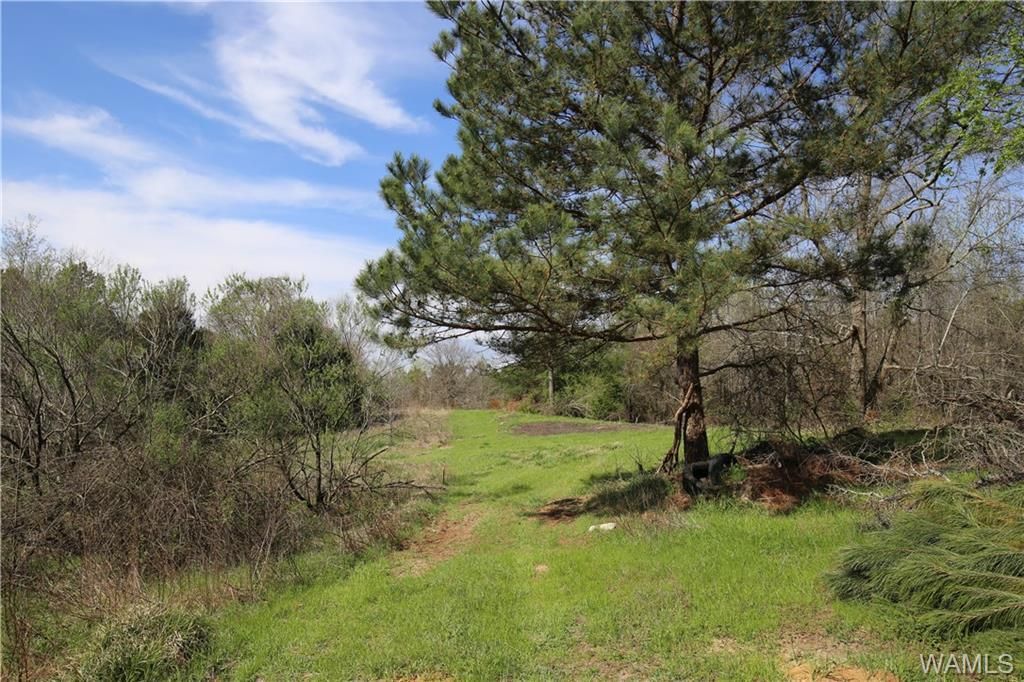 Buhl, Tuscaloosa County, AL Hunting Property for sale Property ID 416533001 LandWatch