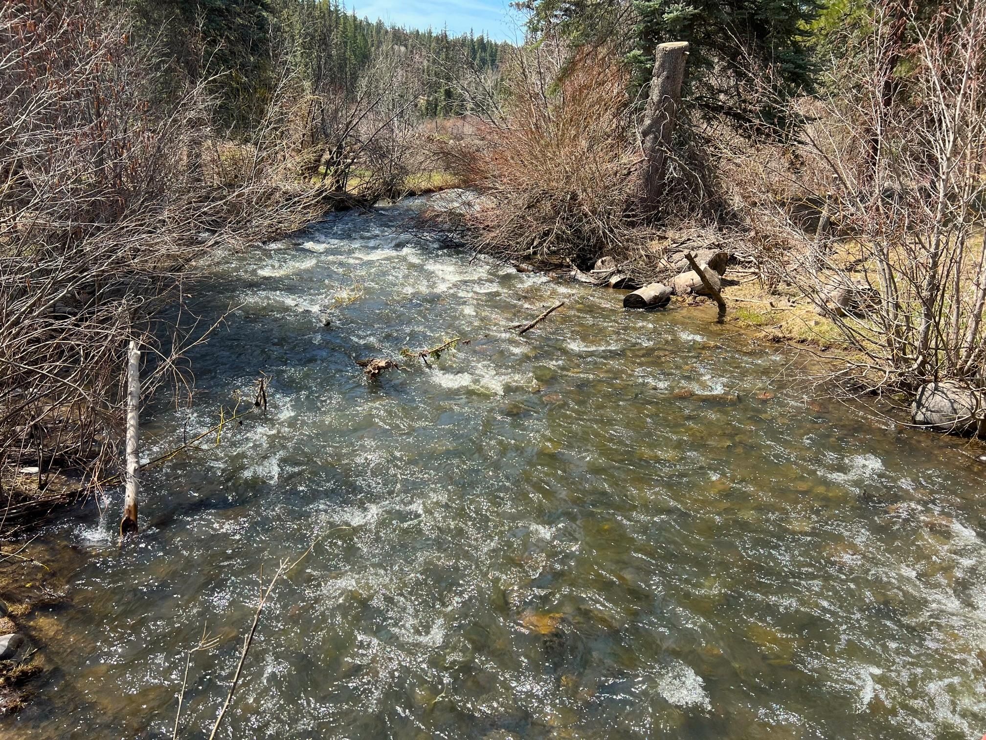 Pagosa Springs, Archuleta County, CO Recreational Property, Horse