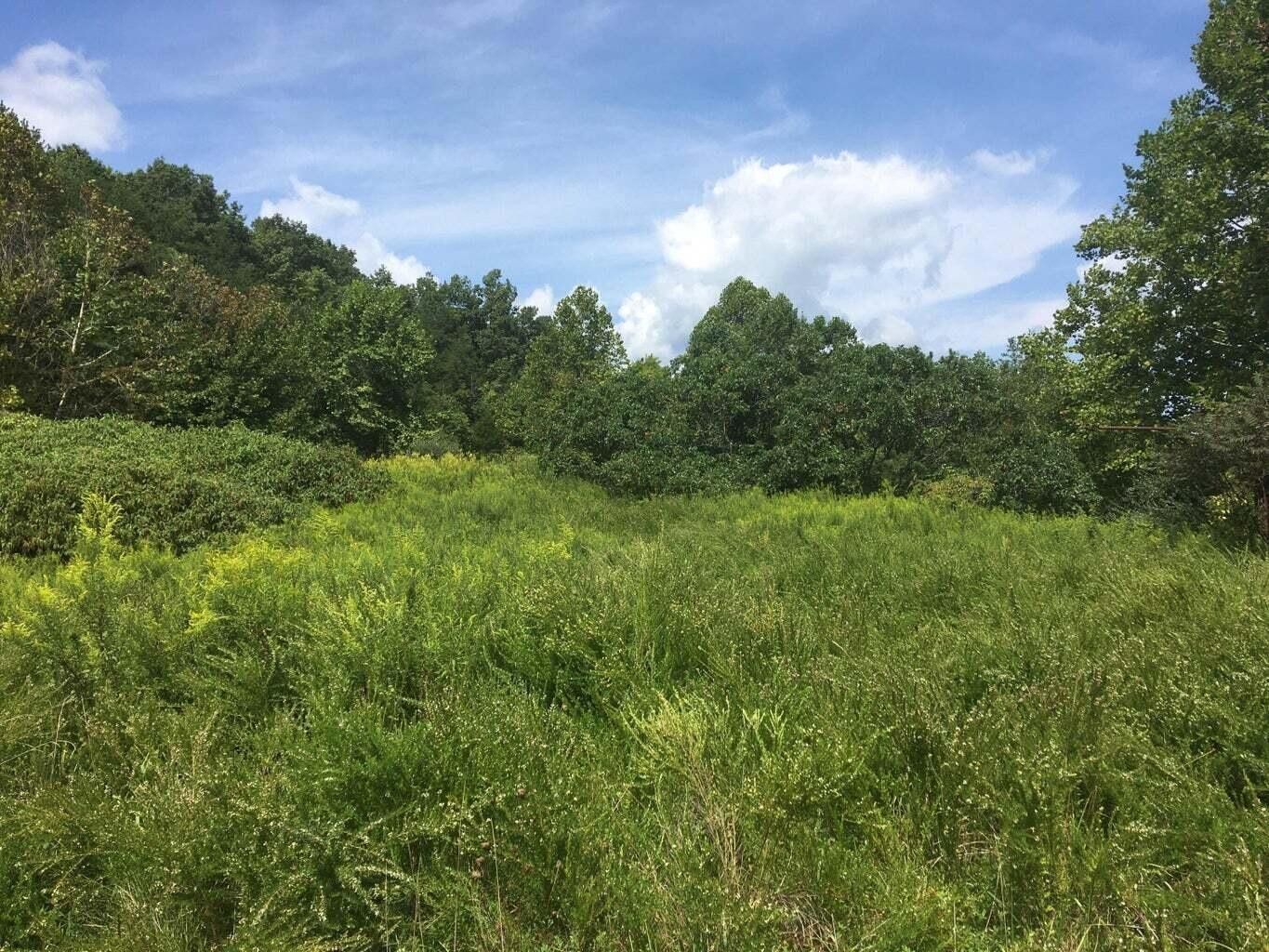 Manchester, Clay County, KY Farms and Ranches for sale Property ID