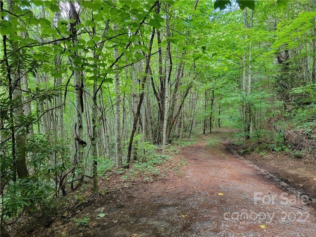 Clyde, Haywood County, NC Undeveloped Land, Homesites for sale Property