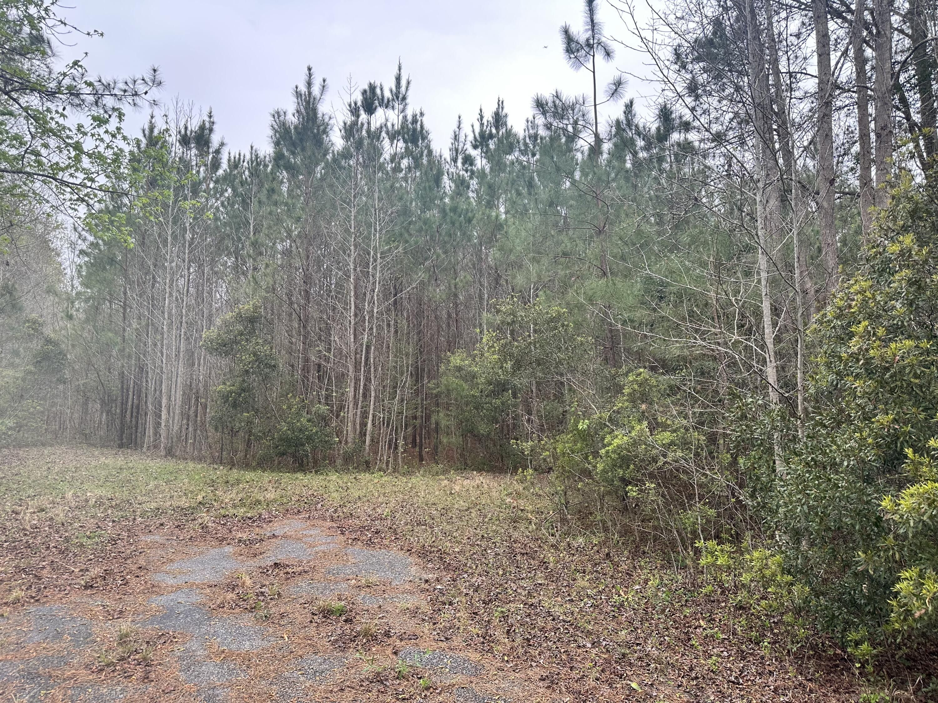 Ridgeville, Dorchester County, SC Farms and Ranches, Homesites for sale