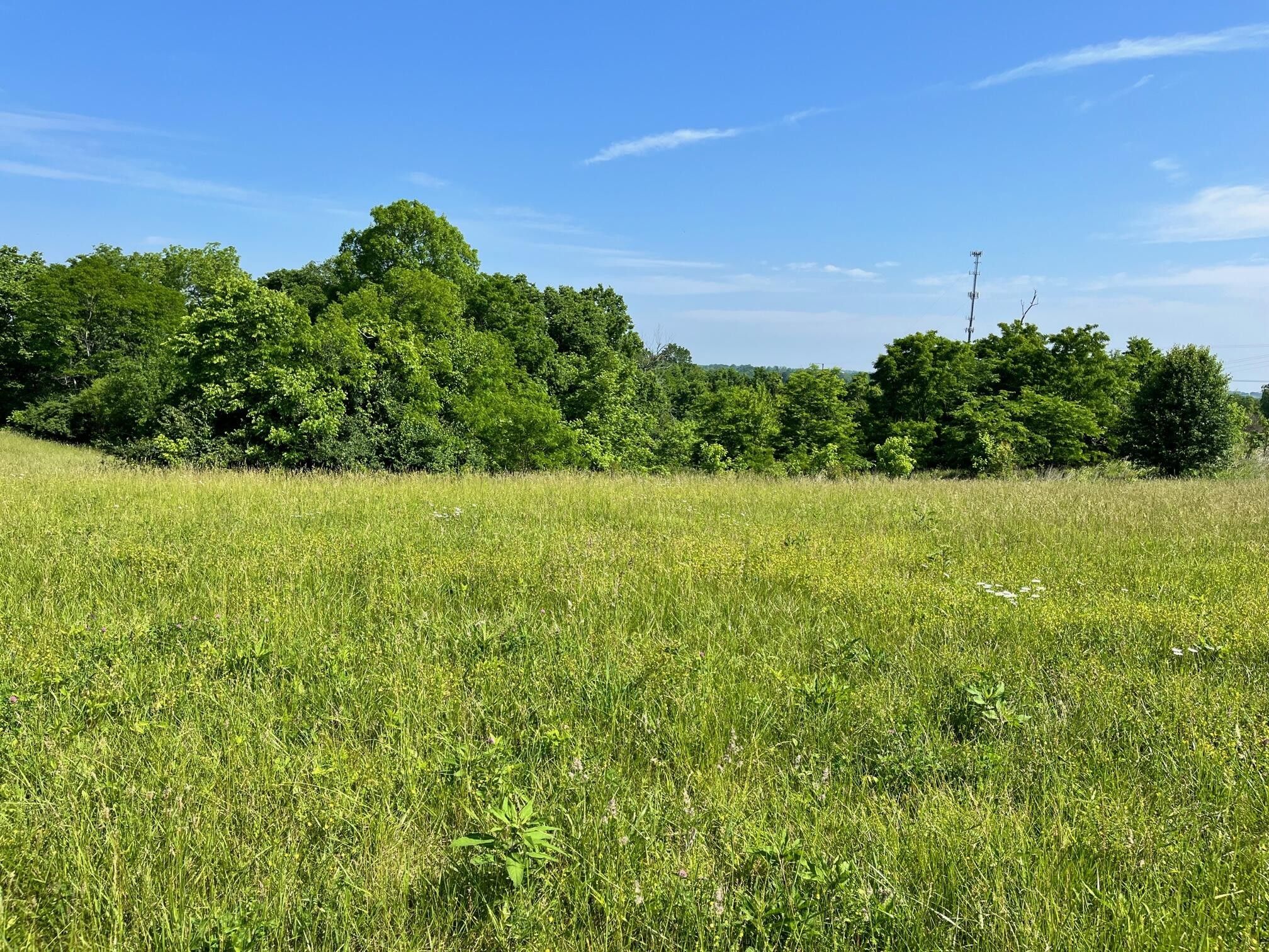 Versailles, Woodford County, KY House for sale Property ID 416536277 LandWatch