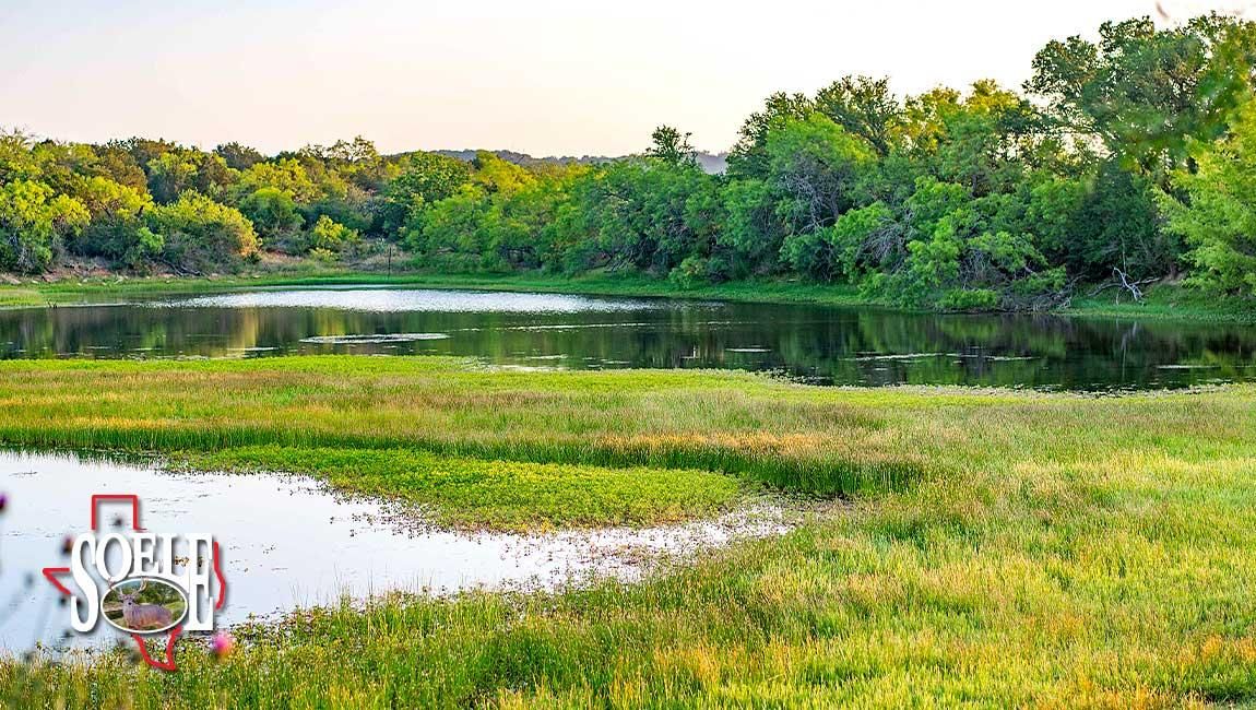 San Saba, San Saba County, TX Farms and Ranches, Recreational Property