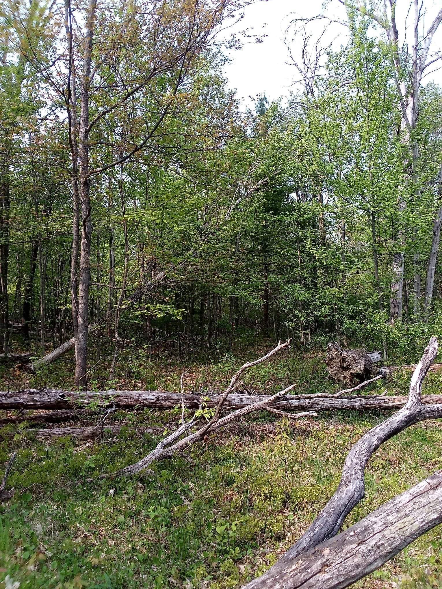 Lewiston, Montmorency County, MI Farms and Ranches, Undeveloped Land