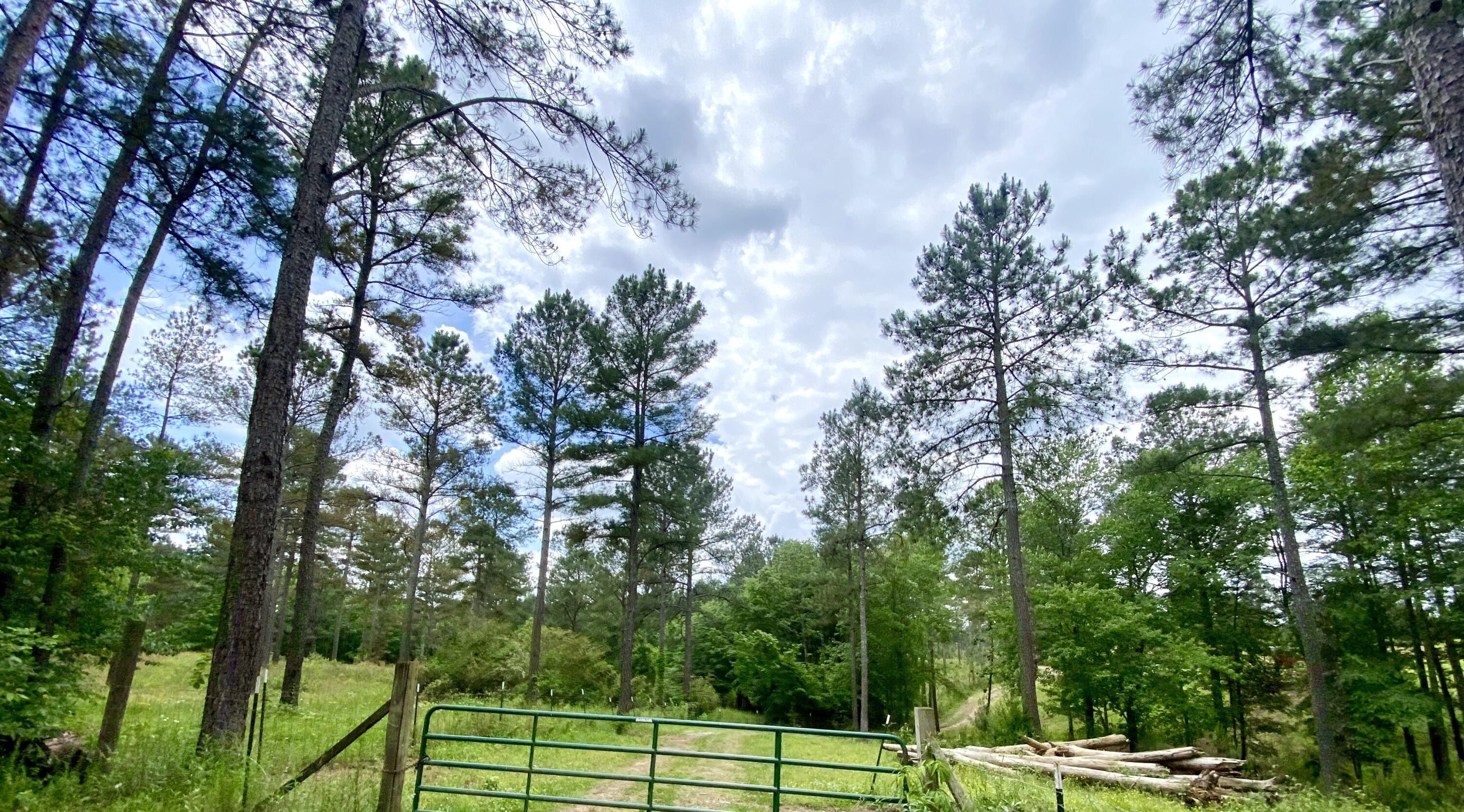 Cleveland, Bradley County, TN Farms and Ranches for sale Property ID