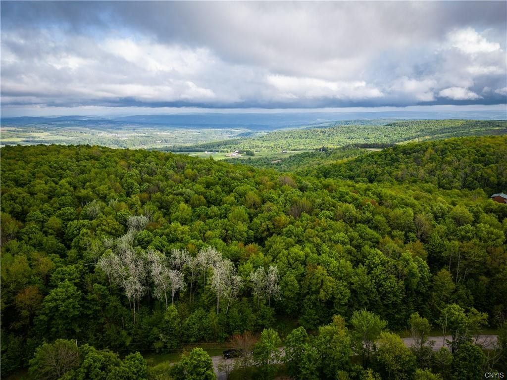 Newport, Herkimer County, NY Farms and Ranches for sale Property ID