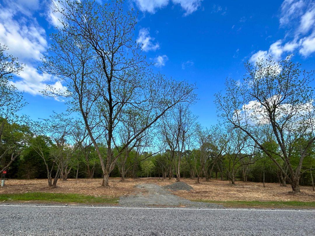 Gilmer, Upshur County, TX Recreational Property, Hunting Property for