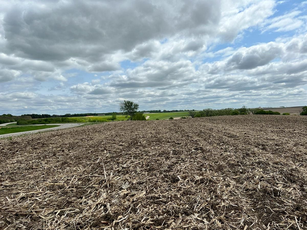 Rochester, Olmsted County, MN Farms and Ranches, Undeveloped Land for