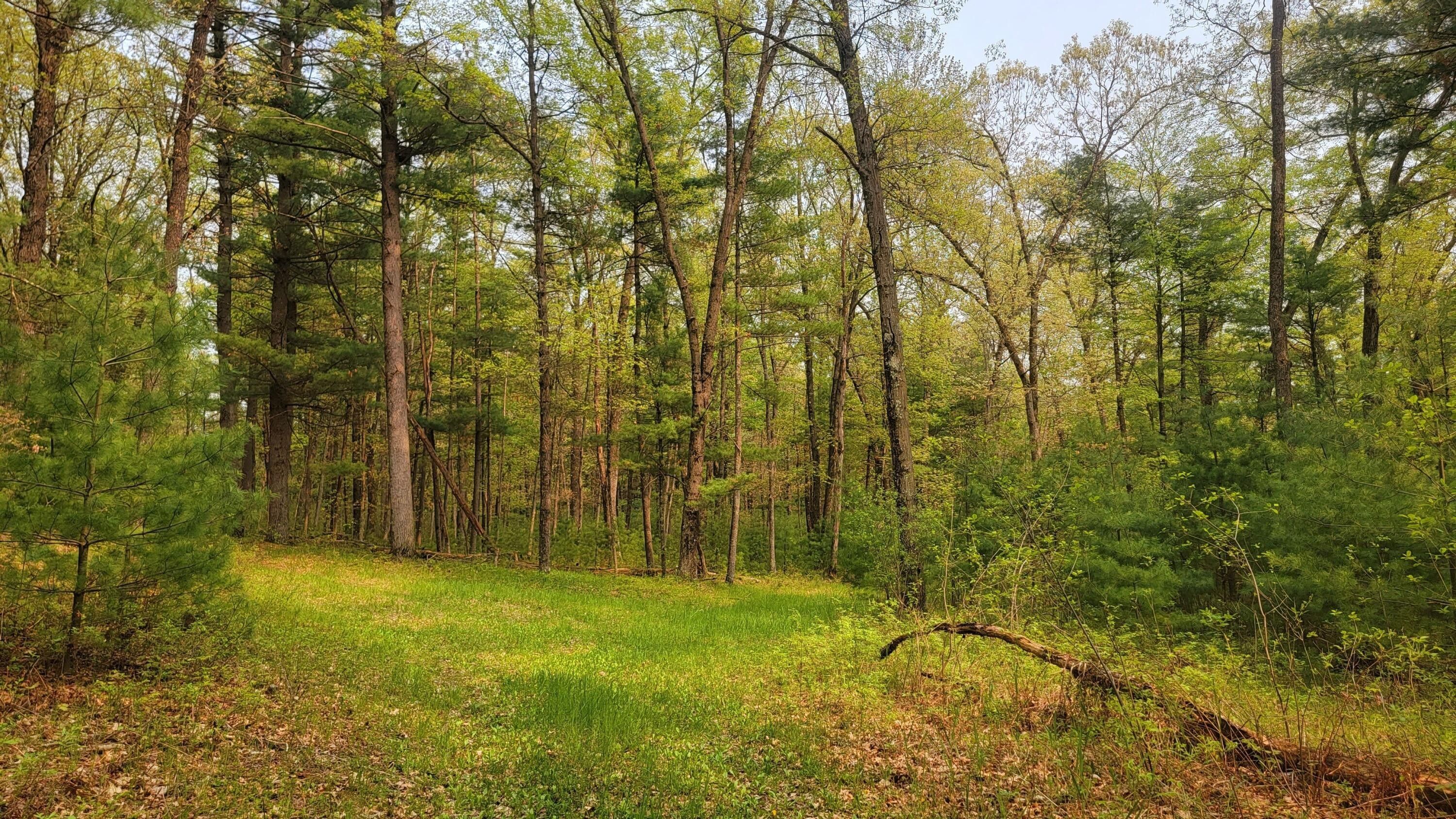 Tomah, Monroe County, WI Undeveloped Land for sale Property ID